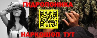 индика Пугачёв