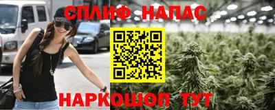 индика Пугачёв